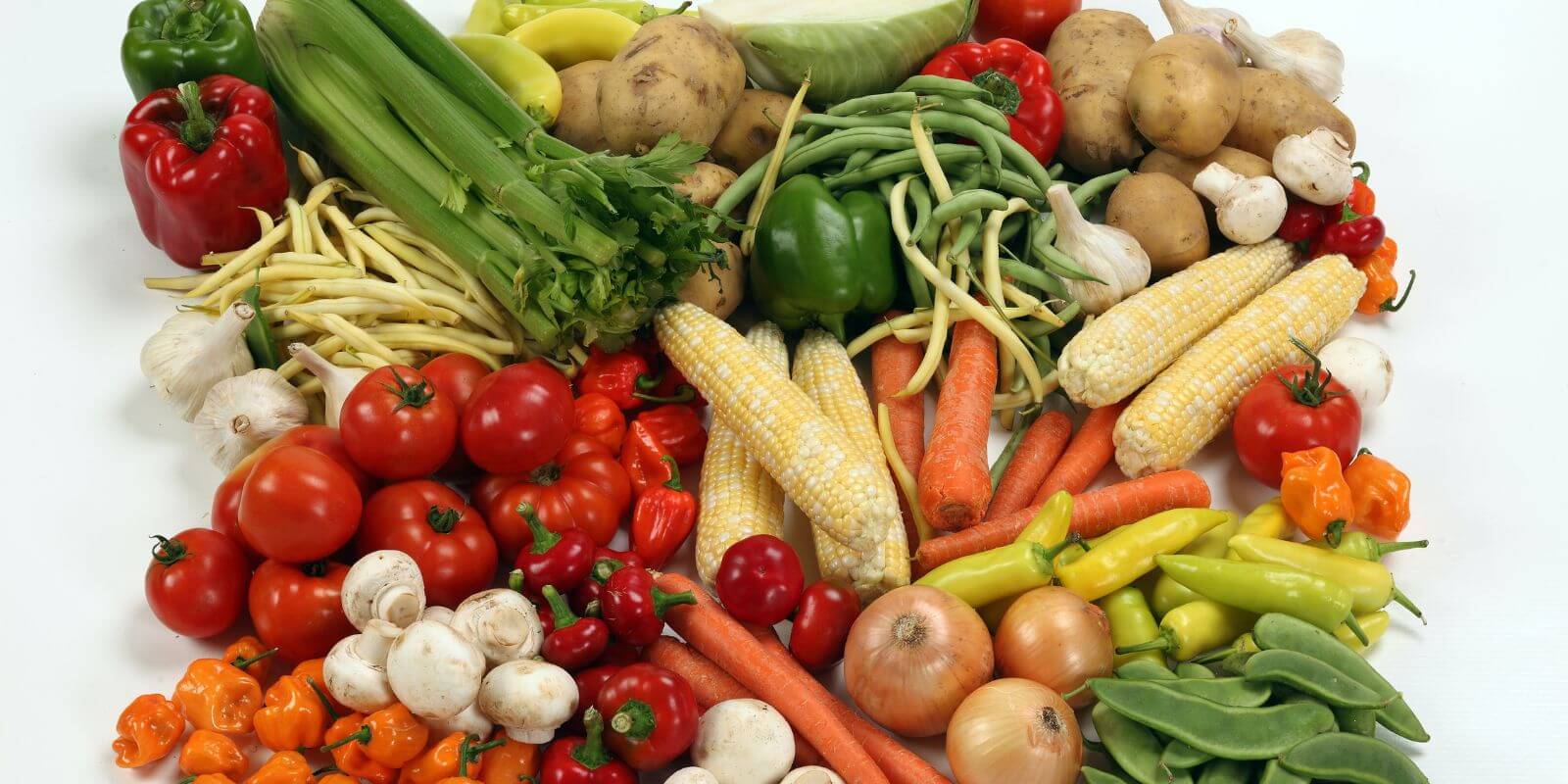 What Fruits and Vegetables Can Dogs Eat? (Yes/No List)